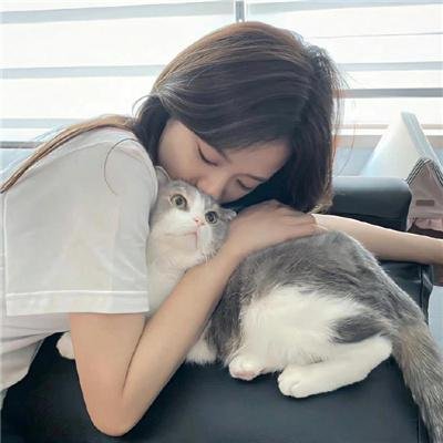夏 在线观看