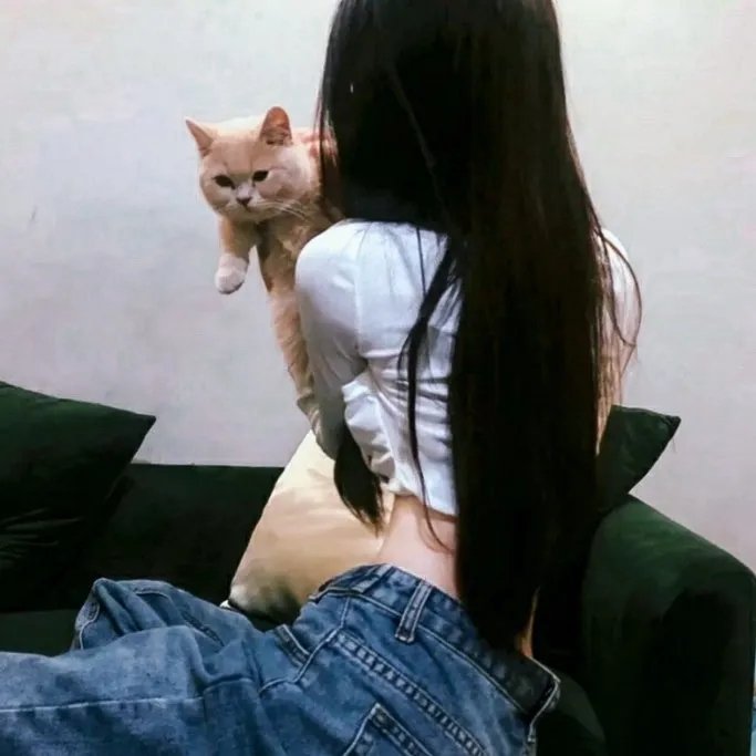 舞力对决 在线观看